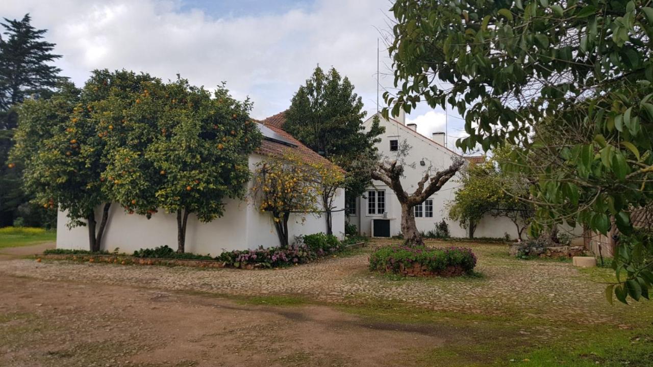 Quinta Do Cacador Hotel Estremoz Kültér fotó